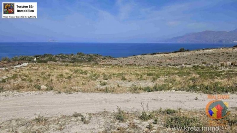 Pitsidia Kreta, Pitsidia, Grundstück (4.000m²) mit Meerblick zu verkaufen Grundstück kaufen